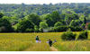 Canfields farm, Rudgwick, West Sussex
