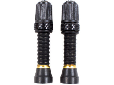 NUTRAK Schrader Tubeless Valve, Threaded Bronze