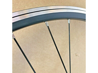 UNBRANDED Rear Hybrid 700c Wheel Quando Hub with 8 speed FreeHub D/Wall Mach 1 rim click to zoom image